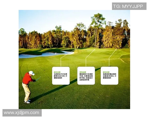 成都排球队耐力对比深度解析与训练策略探讨